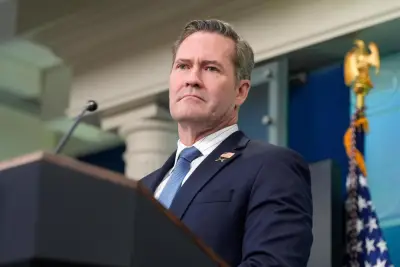 Watch: Mike Waltz faces grilling over Signal chat at Senate hearing for UN ambassador role