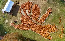 Pumpkins galore in Cohasset (Photos)